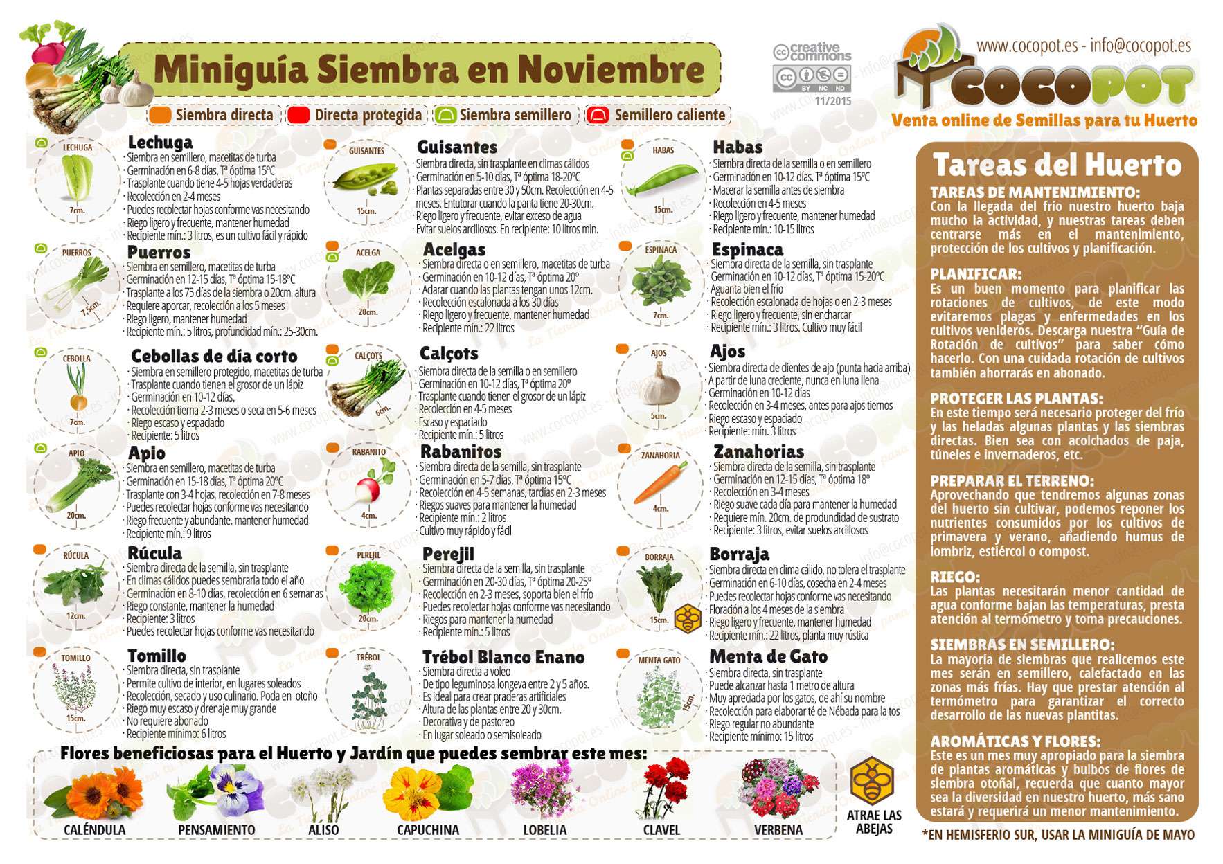 10 Cultivos Ideales para Sembrar en Noviembre: ¡Aprovecha esta Temporada de Siembra!