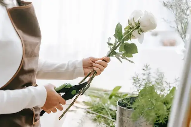 como cuidar una rosa cortada