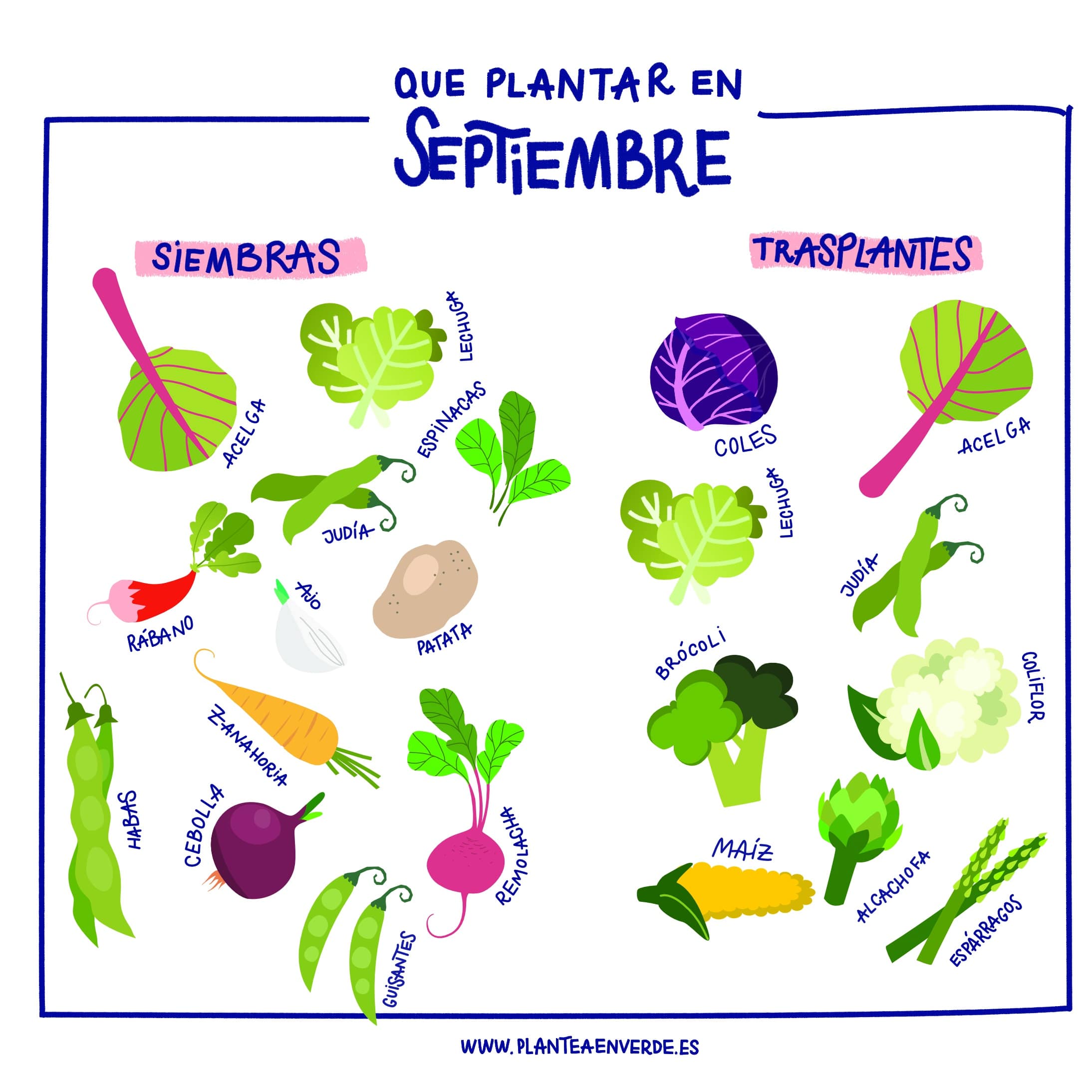 5 cultivos ideales para sembrar en septiembre y disfrutar de una abundante cosecha