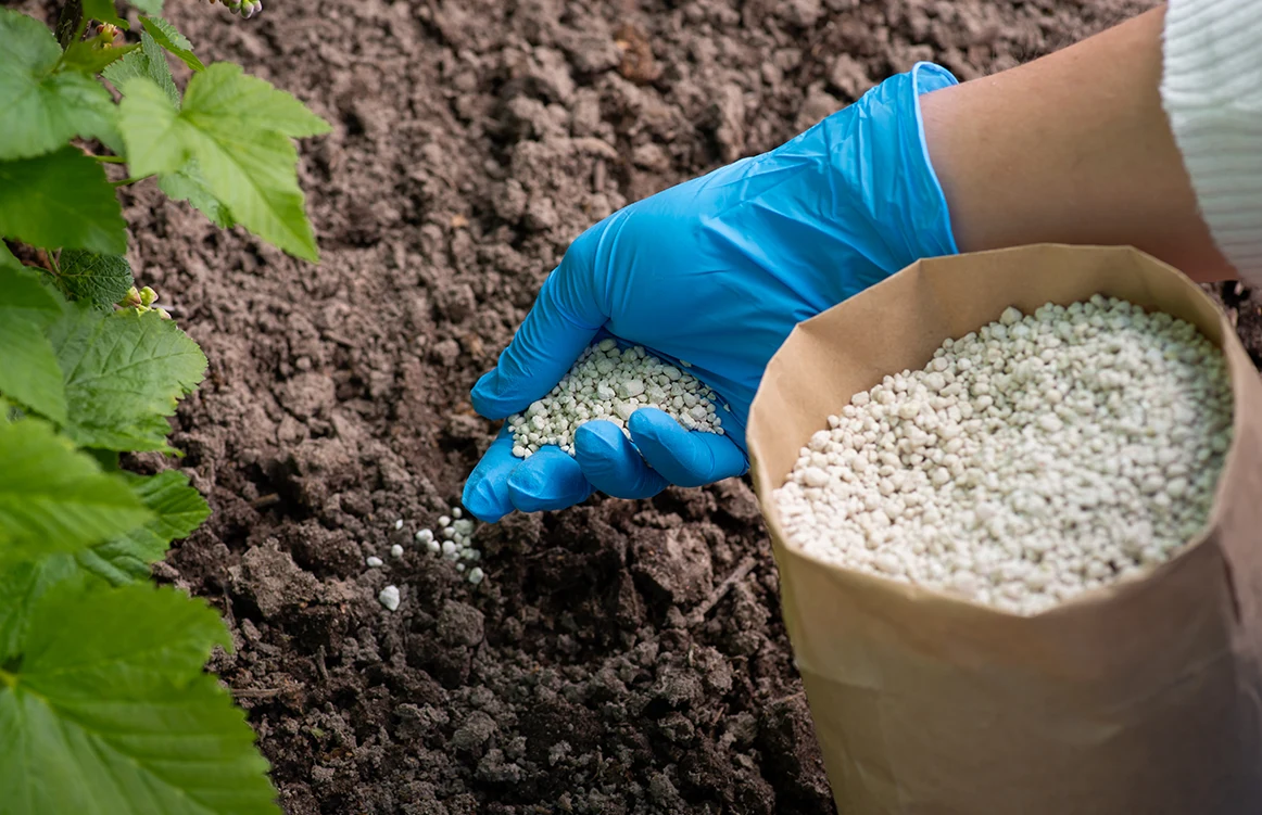 Abonos orgánicos: Cómo potenciar el crecimiento de tus plantas de manera natural