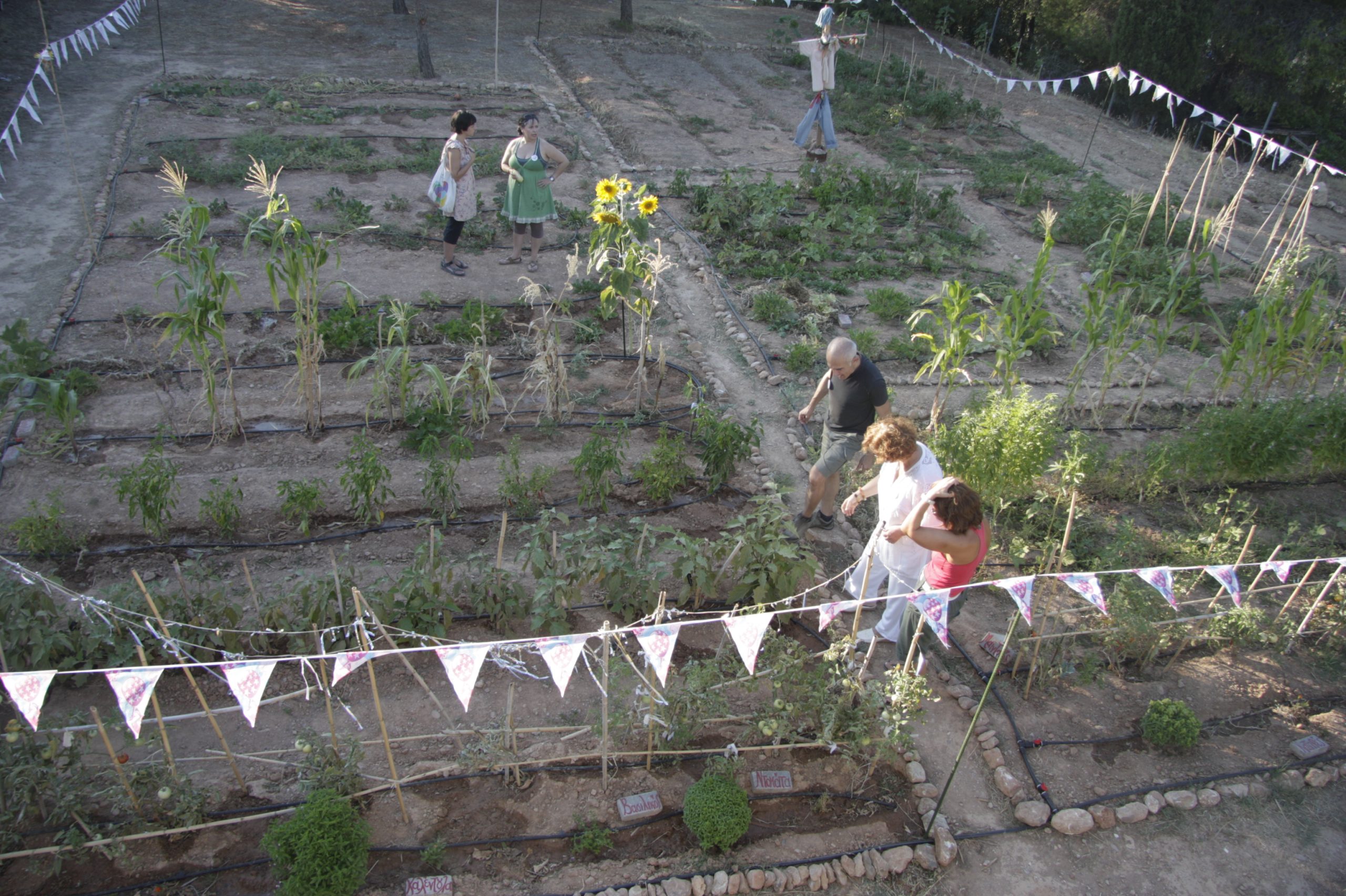 Adelfas en el huerto urbano: cómo cultivar estas hermosas plantas en espacios reducidos