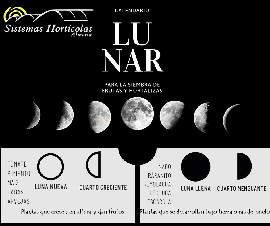 Descubre qué luna es ideal para sembrar y obtener una cosecha abundante