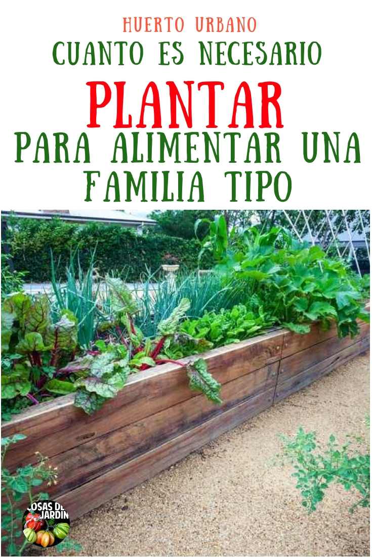 Diferencia entre sembrar y plantar: ¿Cuál es el método adecuado para tu huerto o jardín?