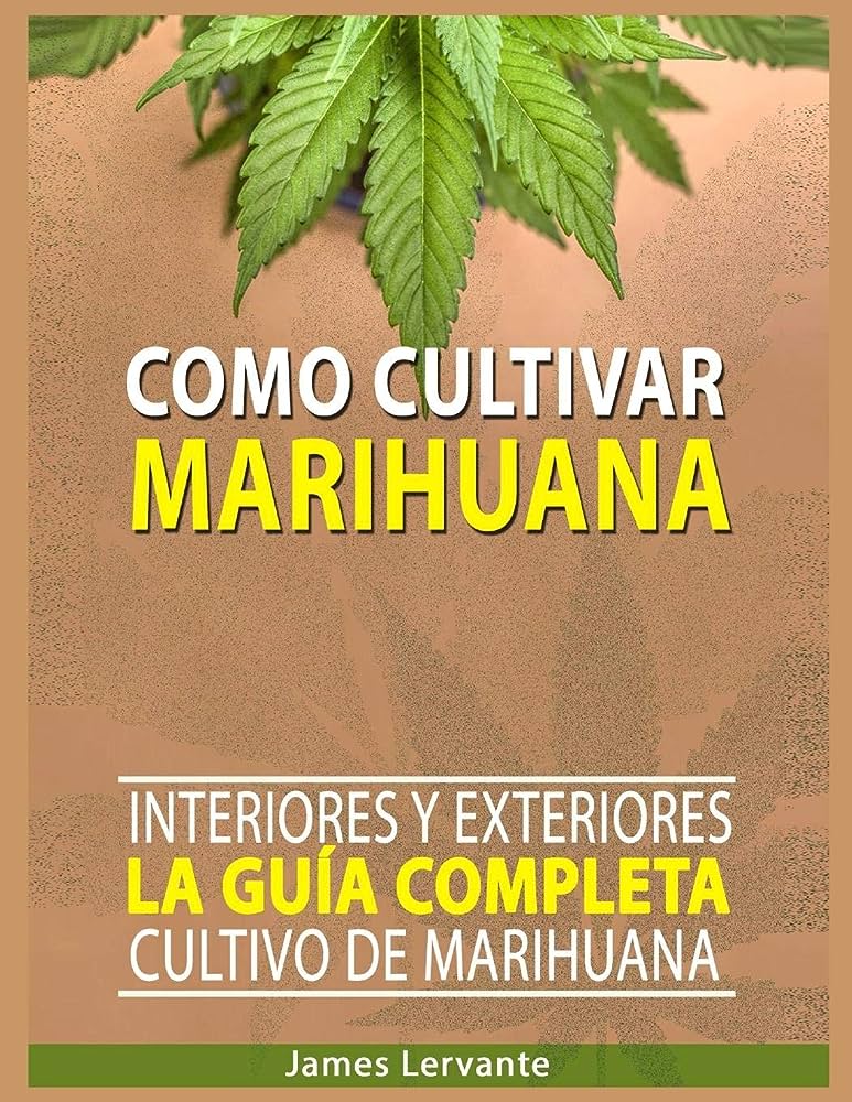 Guía completa: Cómo plantar marihuana paso a paso para principiantes