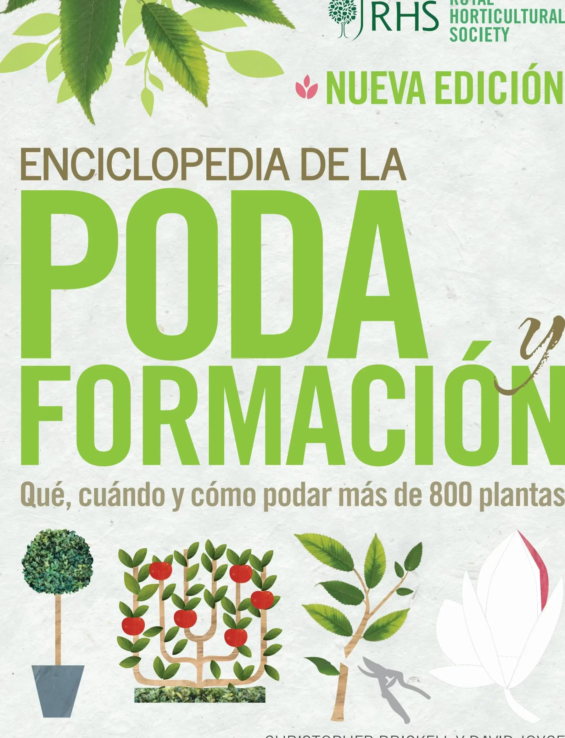 Guía completa: Cómo podar árboles para un crecimiento saludable y estético