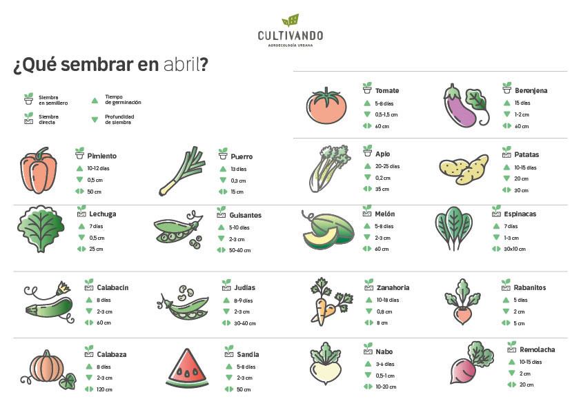 Guía completa: cómo sembrar en abril para una cosecha exitosa