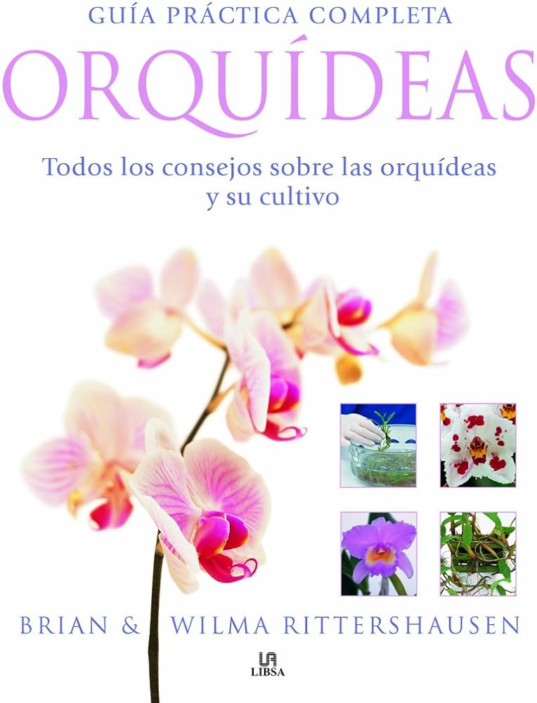 Guía completa para sembrar orquídeas con éxito: consejos y cuidados indispensables