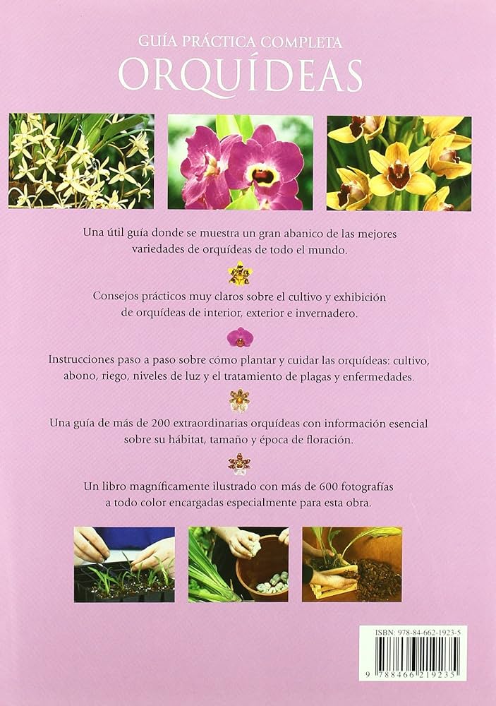 Guía completa para sembrar orquídeas: consejos prácticos y cuidados esenciales