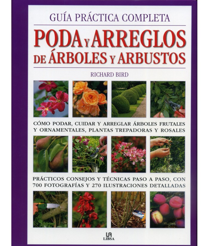 Guía completa sobre cómo plantar árboles frutales: consejos, técnicas y cuidados necesarios