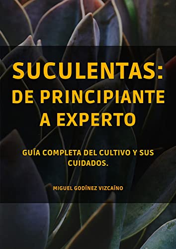 Guía completa sobre cómo plantar suculentas: consejos y cuidados