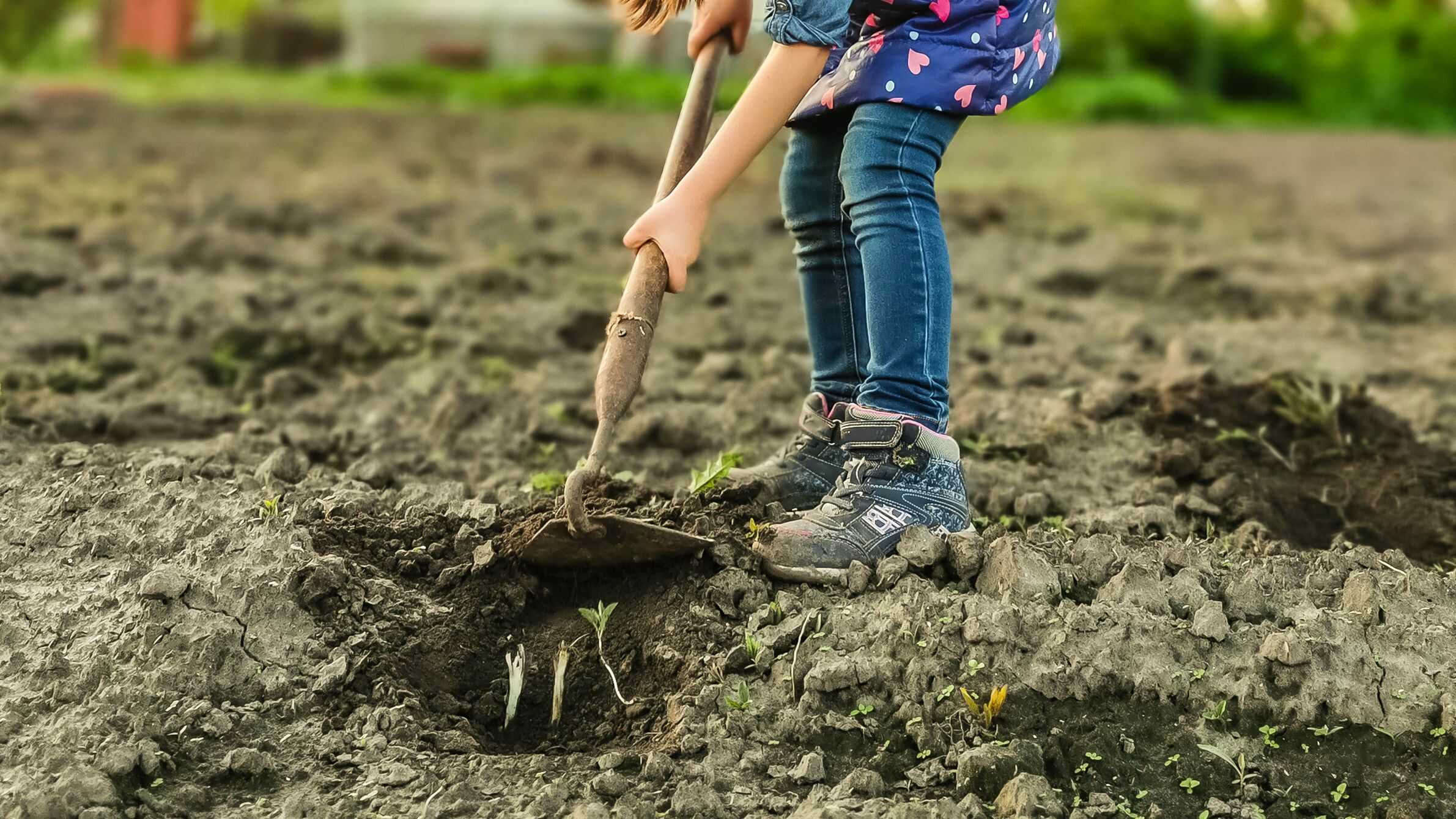 Guía práctica sobre cómo preparar la tierra para sembrar con éxito