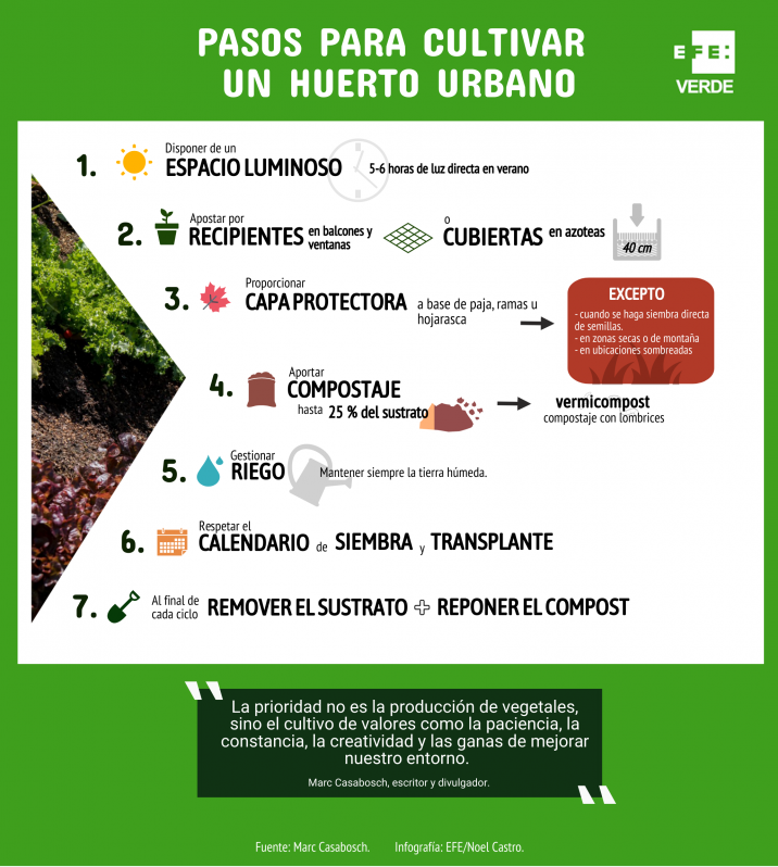 La importancia de una buena tierra para tu huerto urbano: consejos y recomendaciones