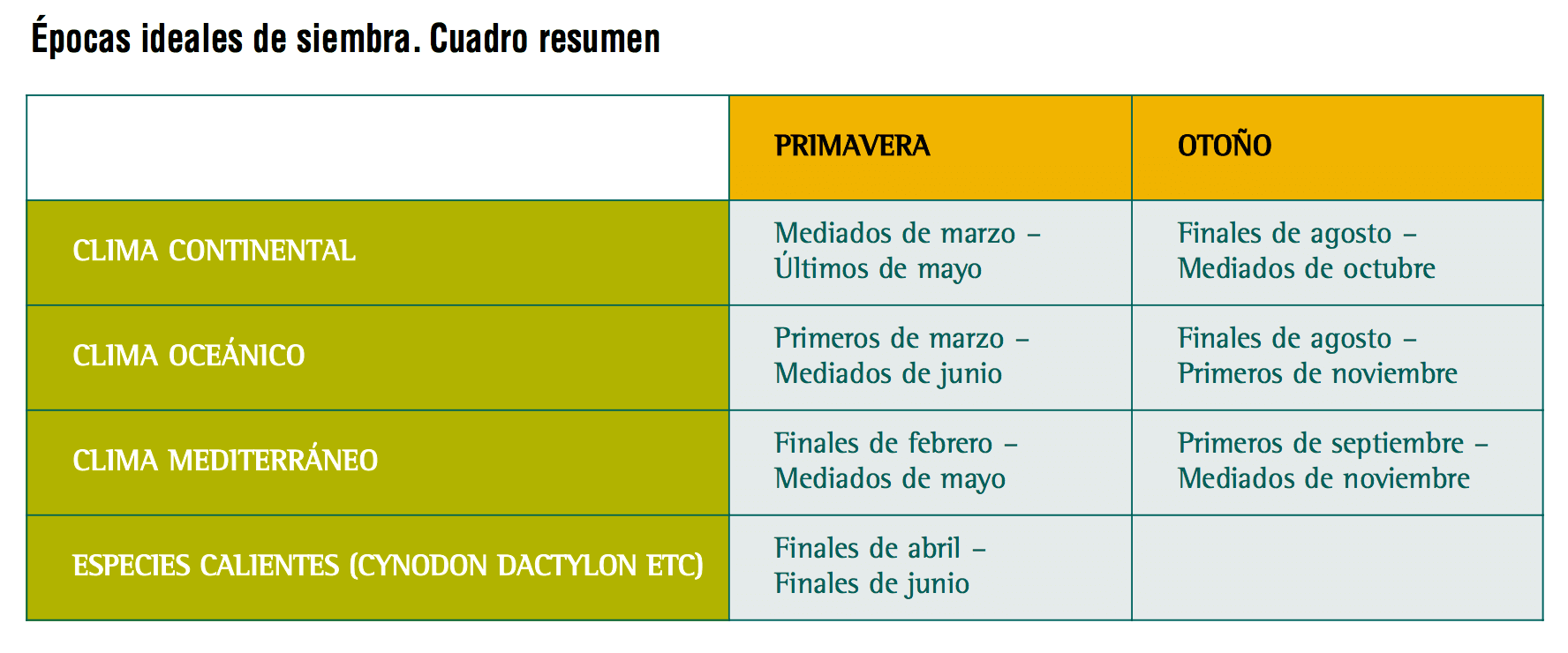 La mejor época para sembrar césped: consejos y recomendaciones