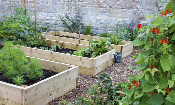 Maximiza tu espacio con mesas de huerto urbano: Todo lo que necesitas saber para cultivar en espacios reducidos