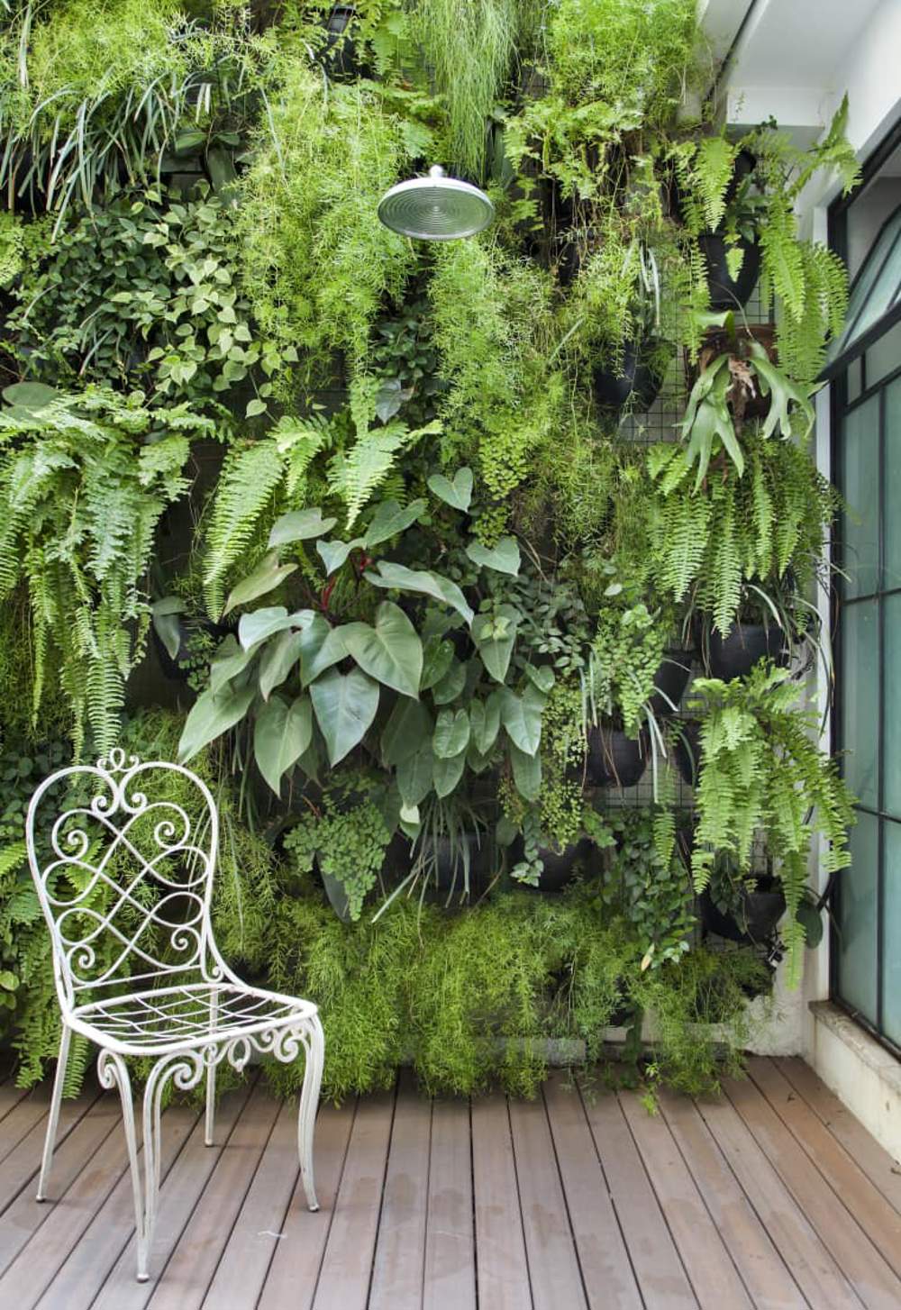 Potos vertical: cómo crear un jardín vertical con esta hermosa planta