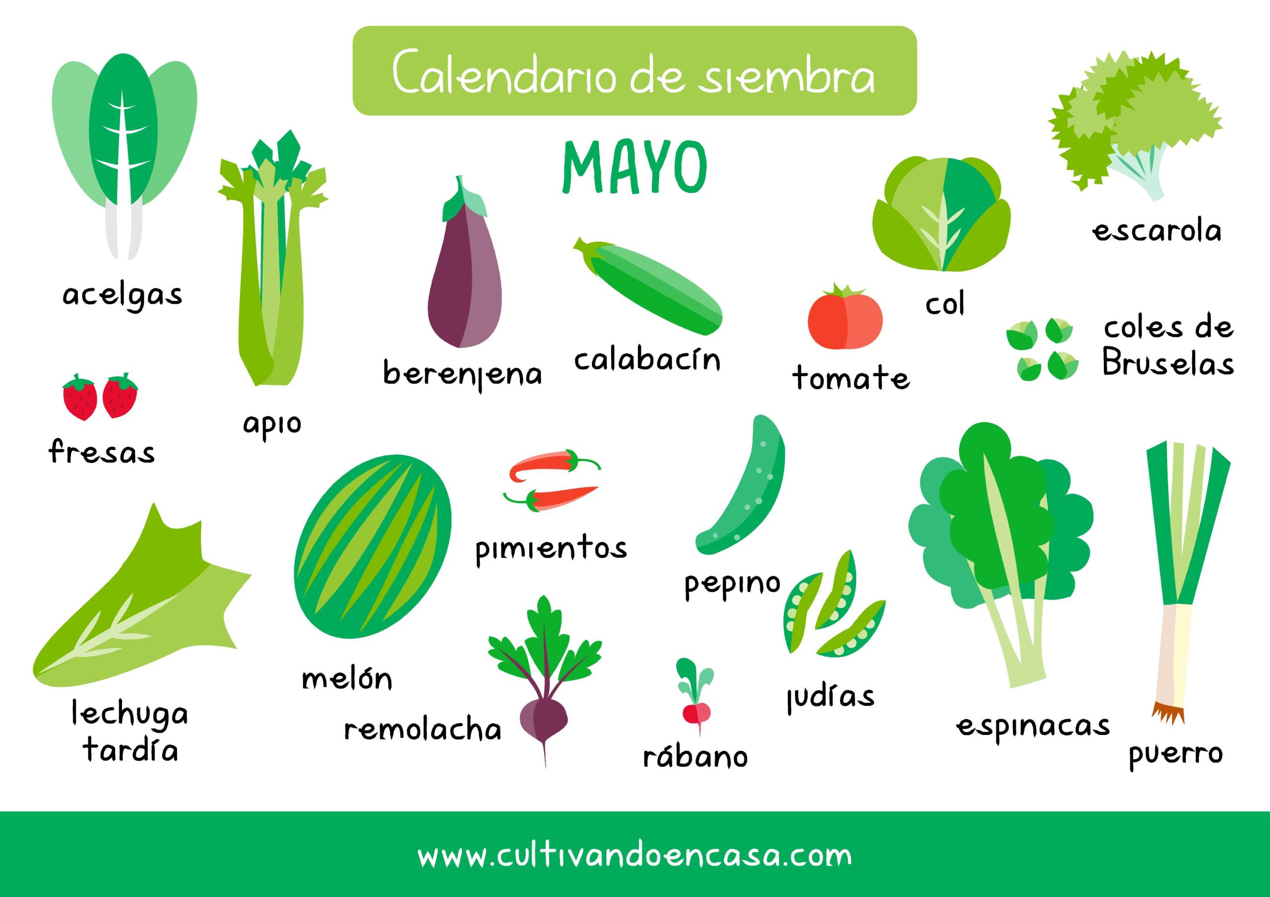 ¿Qué plantar en mayo? Descubre las mejores opciones para sembrar y cultivar en este mes