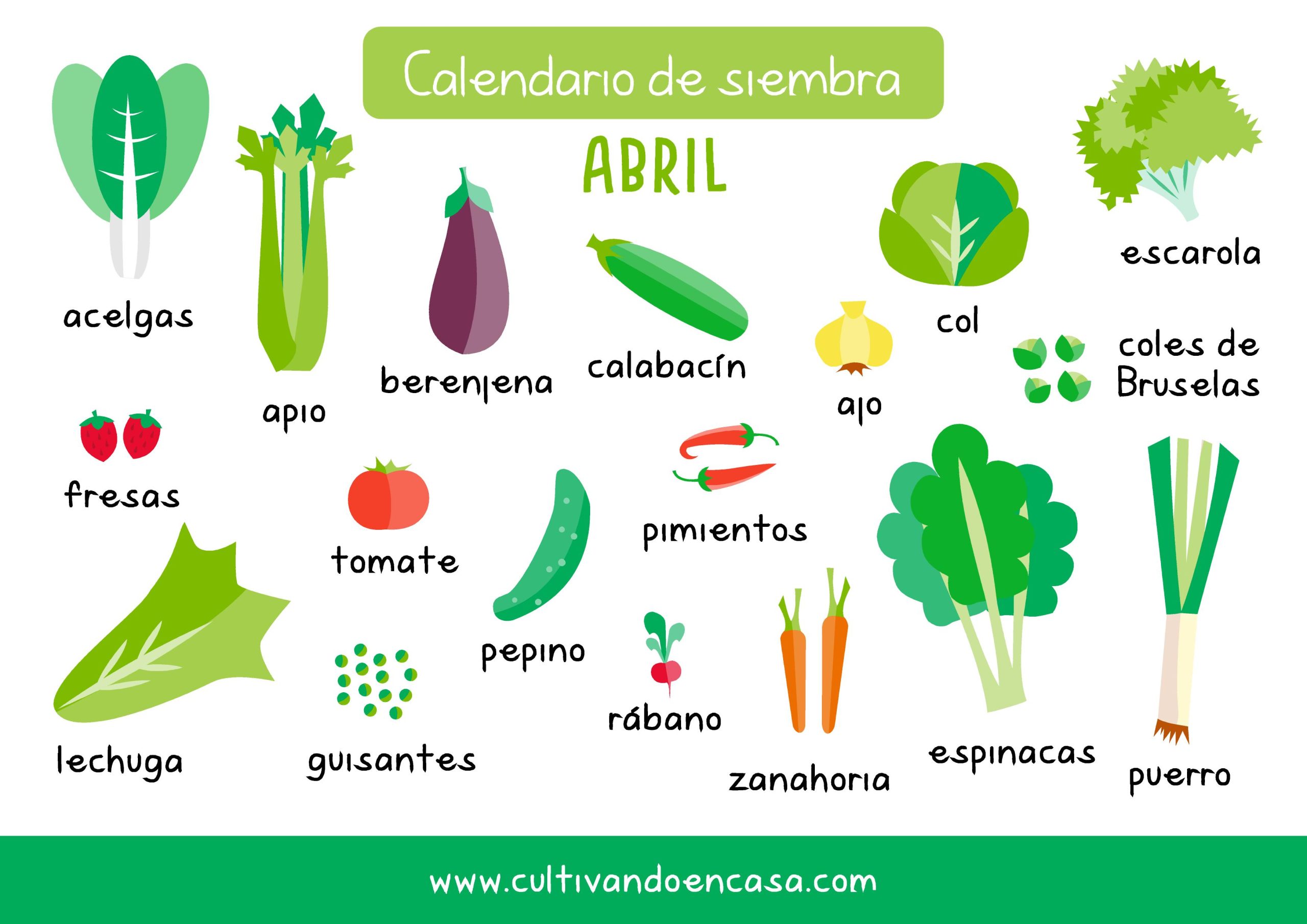 Qué sembrar en abril: descubre las mejores opciones para cultivar este mes