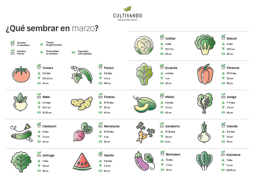 Qué sembrar en marzo en España: mejores opciones para cultivar en primavera