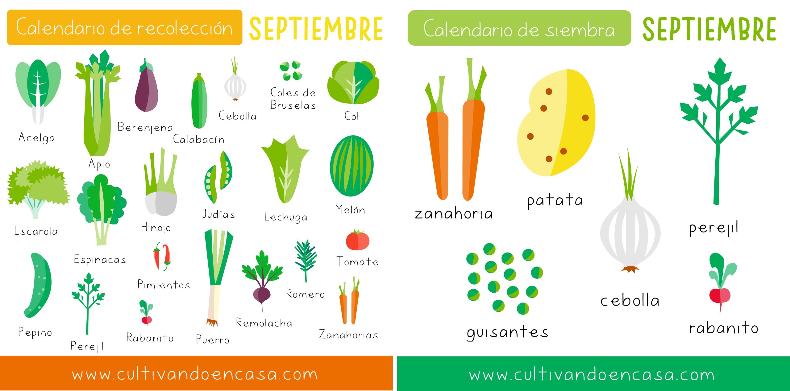 ¡Septiembre es el momento ideal para sembrar! Descubre qué puedes sembrar en este mes